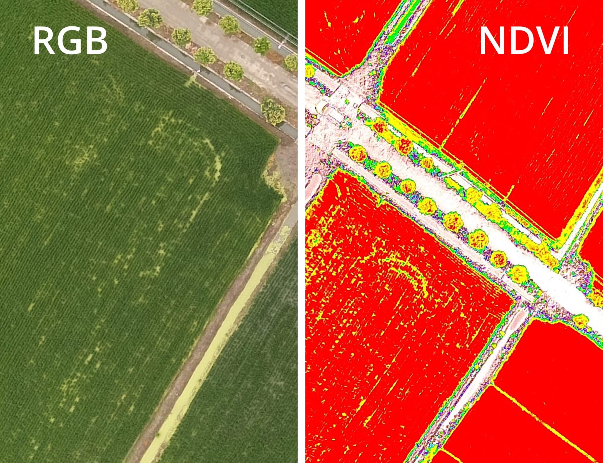 A Guide On Drone Survey Data - Survey Drones