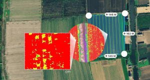 Phantom 4 Multispectral